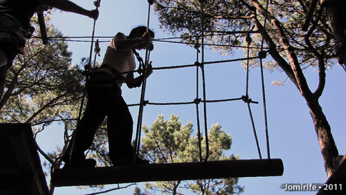Parque Aventura: Pelo tronco
