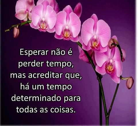 Esperar