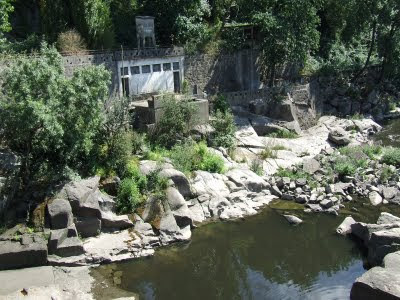 Termas do Amieiro Galego