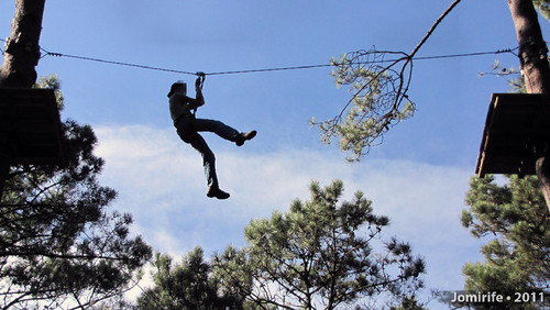 Parque Aventura: Slide entre árvores