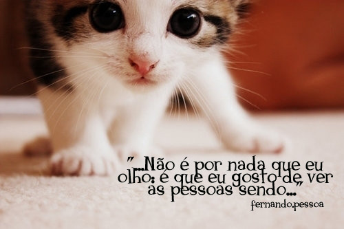 Pessoa