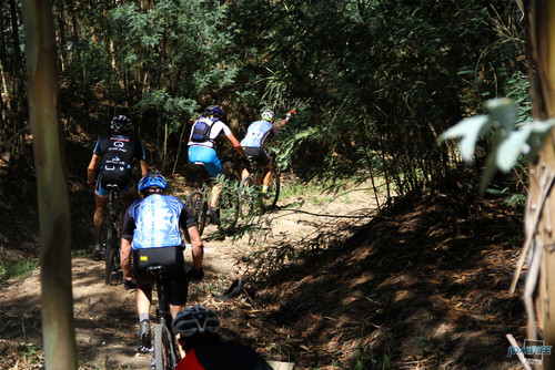 BTT Coimbra XCM 2012 Montemor (167) No pinhal