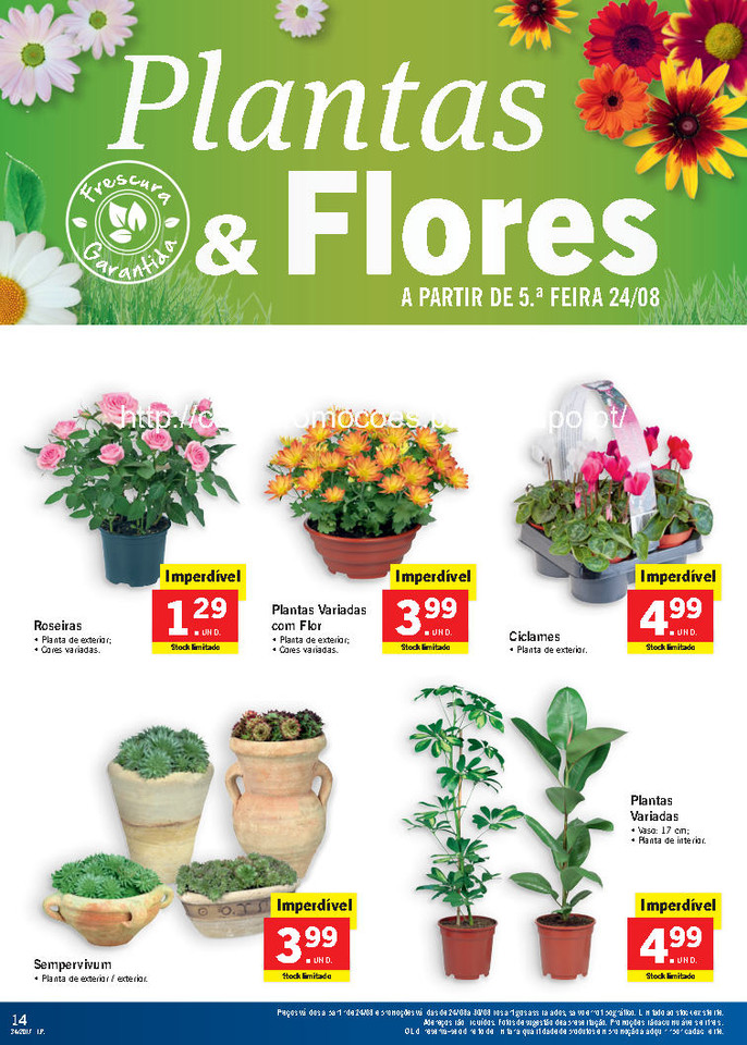 folheto lidl_Page14.jpg