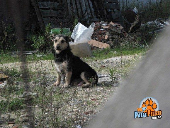 Imagem