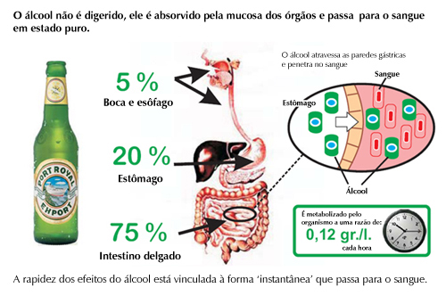O que é a codificação segura do alcoolismo