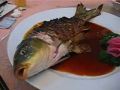 Chocante – Chineses comem peixe cozinhado ainda vivo