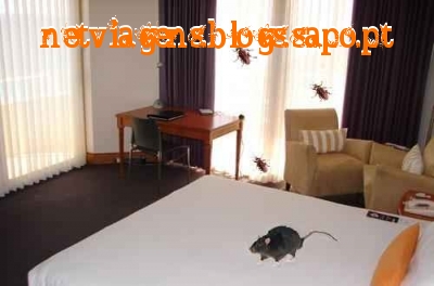 Maus Hotéis, hotéis sujos