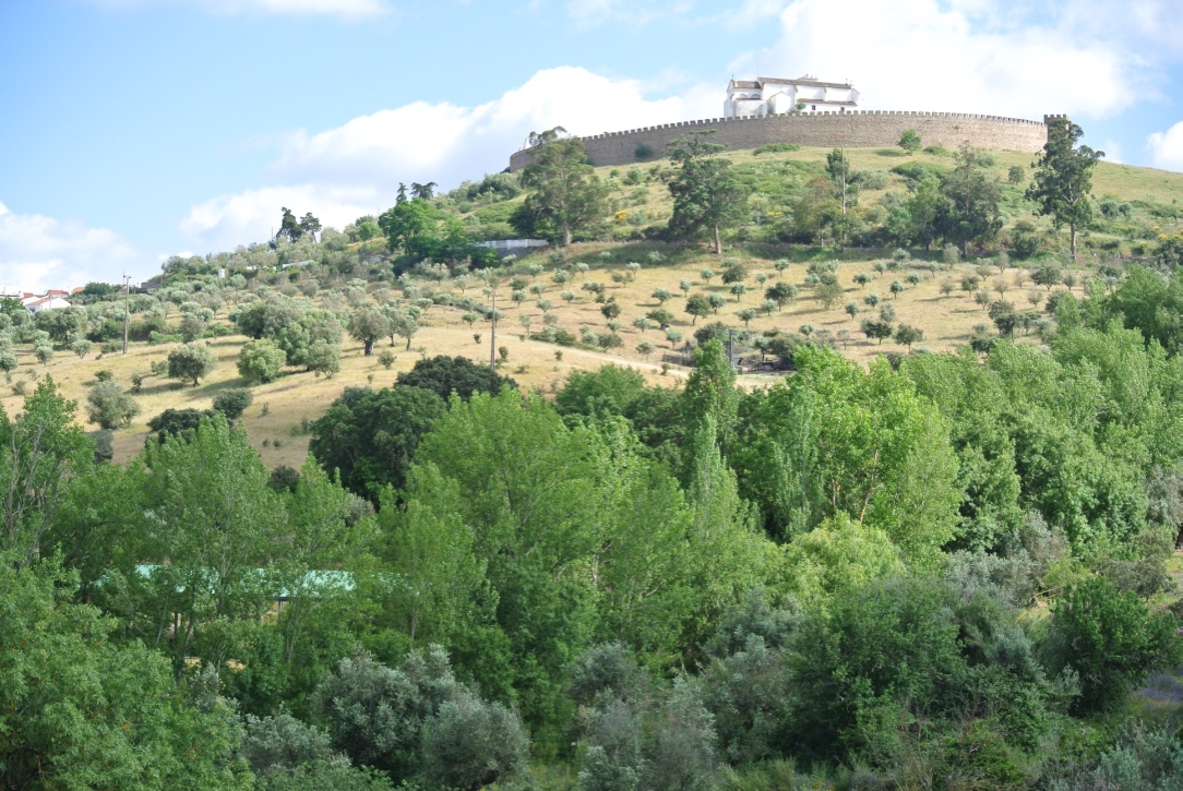 thumb_DSC_3802_1024
