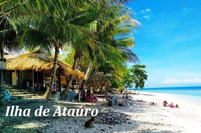 ......timor atauro.jpg