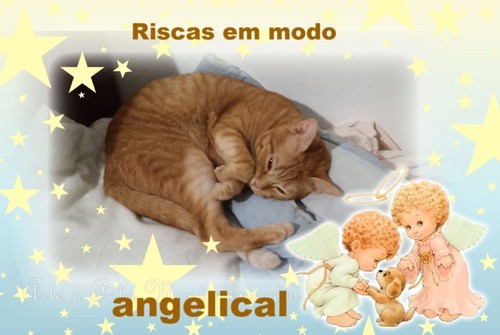 ricasangelical.jpg