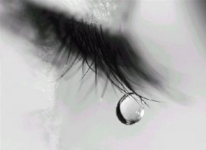 tumblr_lb2phtswSc1qd5i7to1_500_large-300x218.jpg