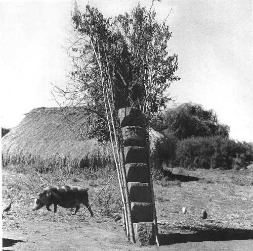 o mundos dos índios mapuche3.jpg o mundos dos índios mapuche3.jpg