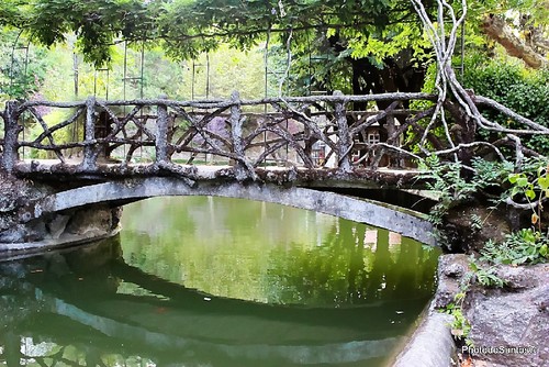 IMG_2555_Photographic.jpg