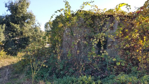 20161114_150550_1.jpg