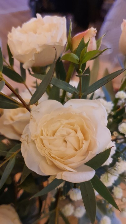 20191130_155014.jpg 20191130_155014.jpg