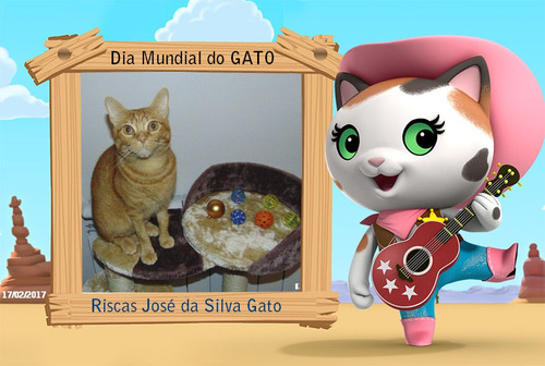 diamgato.jpg