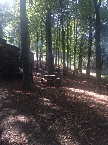 IMG_0920.JPG IMG_0920.JPG