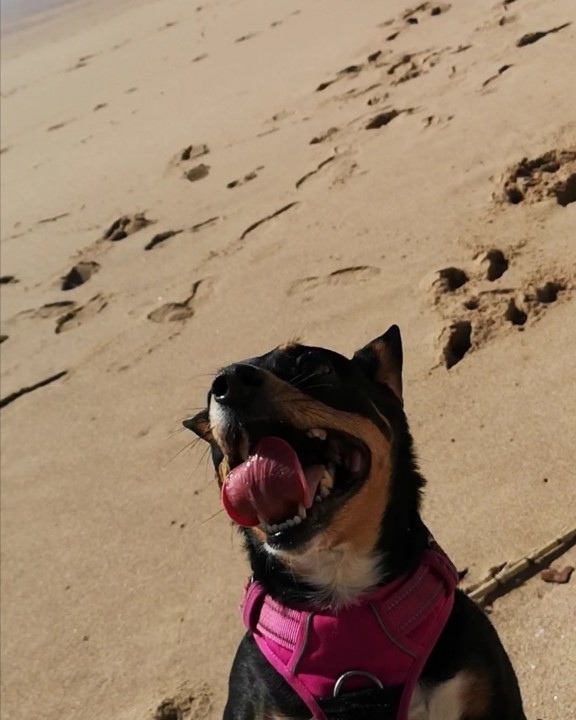 a magia e a beleza dos seres_maggie.jpg