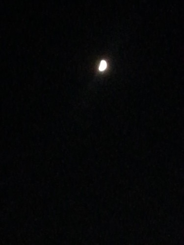 20140901_205015.jpg
