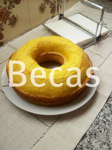 bl sacos