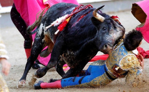 ng8427507 CORNADA.jpg ng8427507 CORNADA.jpg