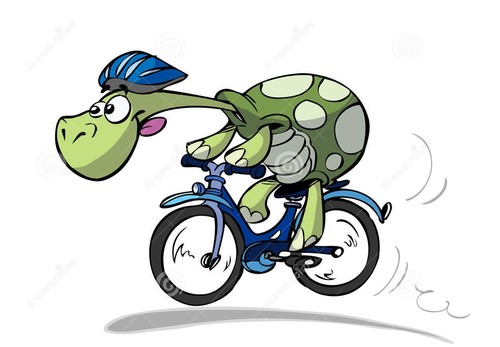 tartaruga-da-bicicleta-8282067.jpg
