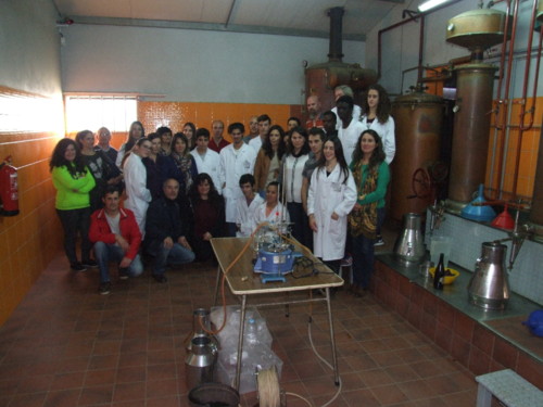 Valongo Aula no Alambique (29).jpg