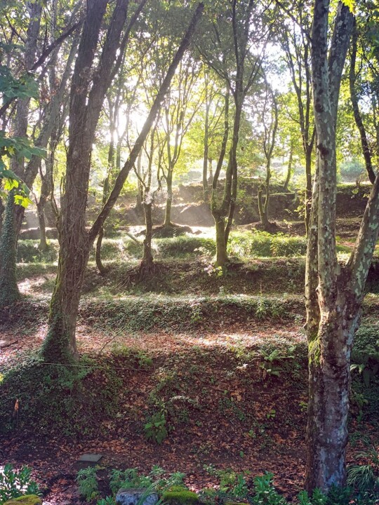 Não me canso disto_caminhada3.jpg