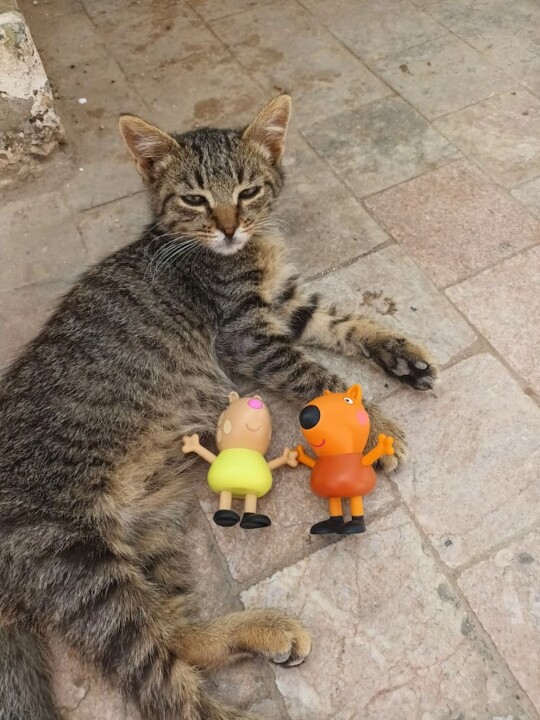 Não me canso disto viagem8.jpg