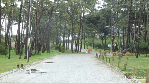P1090257
