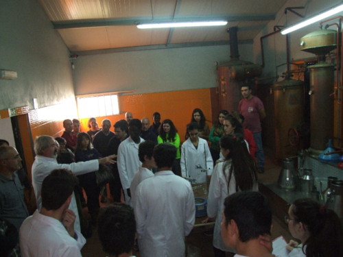 Valongo Aula no Alambique (9).jpg