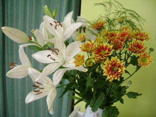 As flores são magia