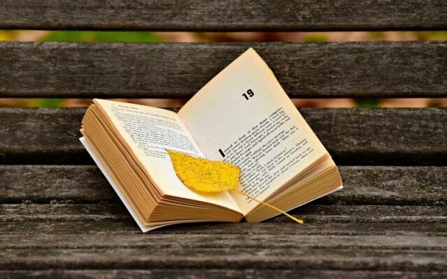 298457617_5264064537042142_3134330753460893558_n.j