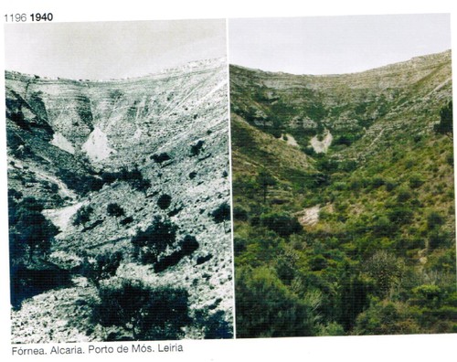 fornea1940.jpg