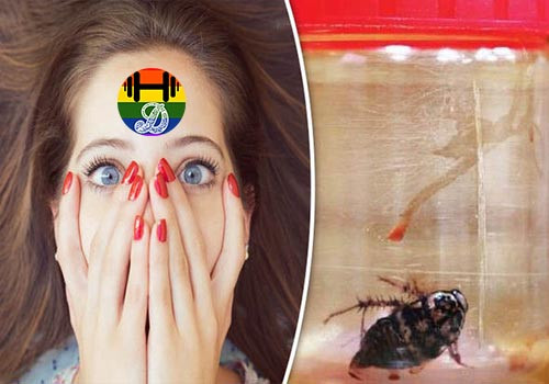 Cockroach-woman-head-removed-itchy-nose-762715.jpg