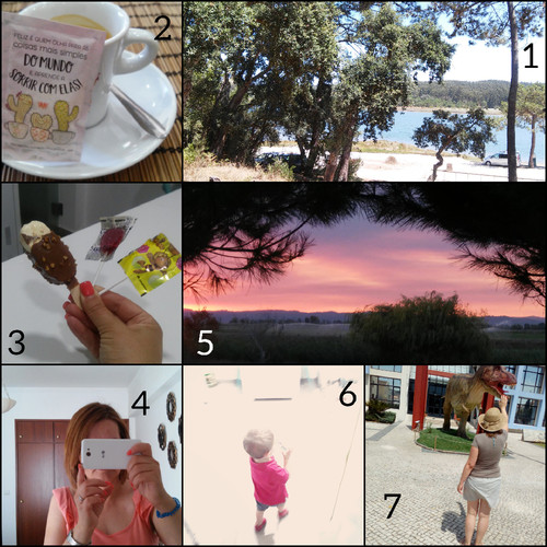 CollageMaker_20170813_063127527.jpg