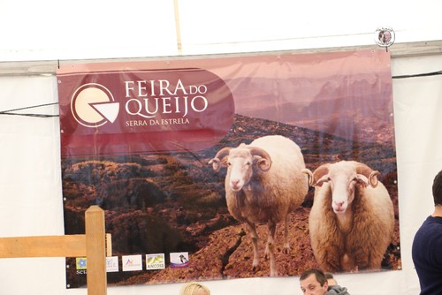 Feira do Queijo em Seia - 25  02  2017 !!! 248.JPG