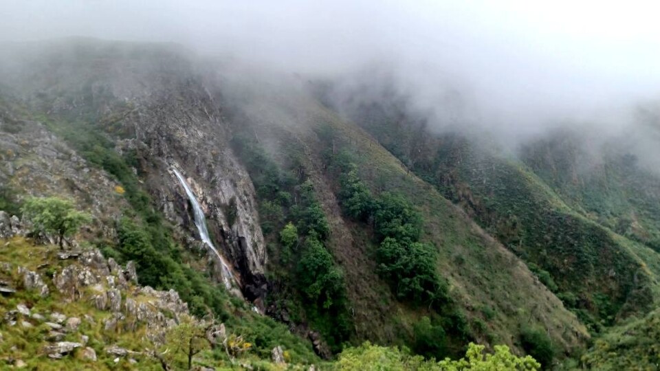 281600574_421372526660637_6767075348300423030_n.jp