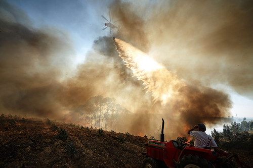 Incendio Rui Caria.jpg Incendio Rui Caria.jpg