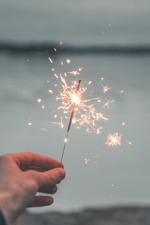 oskars-sylwan-tAvda_CfwD0-unsplash.jpg