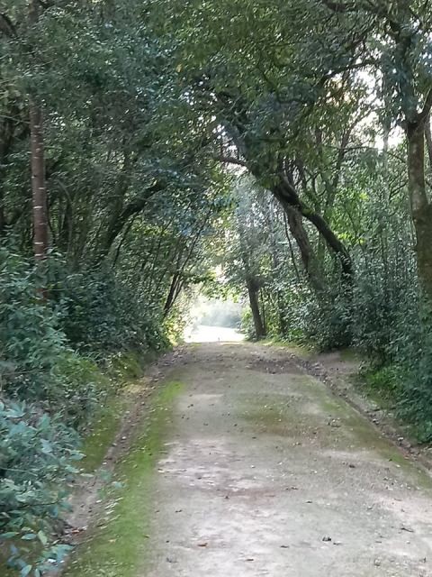 258624542_1101249933981713_2338515303478552414_n.j