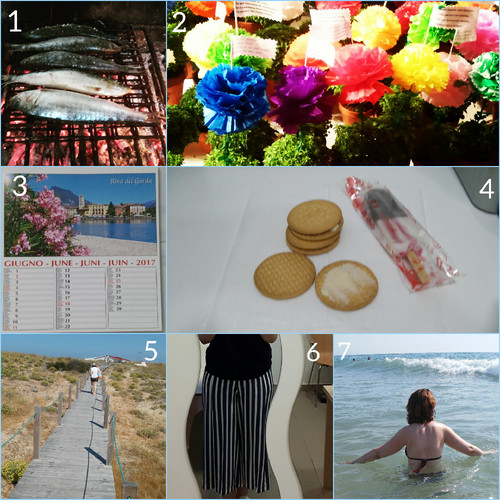 CollageMaker_20170617_233932135.jpg