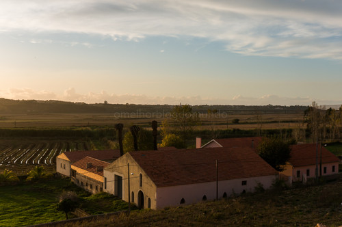 DSC08903.jpg