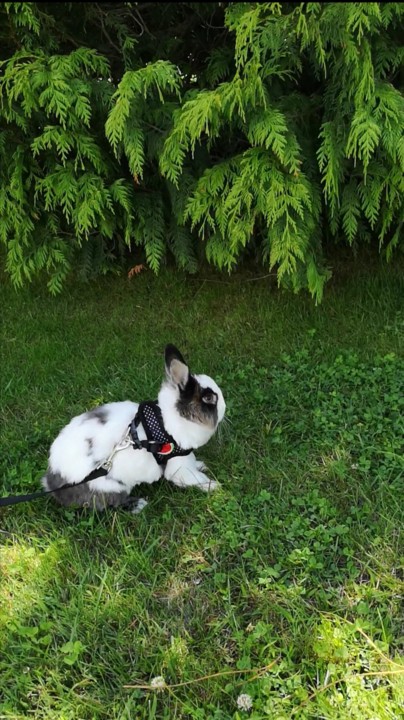 ao partilharmos a nossa vida_fluffy.jpg ao partilharmos a nossa vida_fluffy.jpg