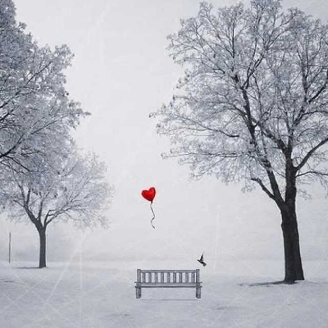 22-23-14-396e8430c3a9262ceeac3f9359409e44.jpg