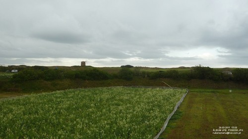 P1090200