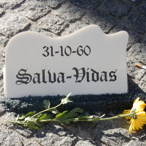 DSCN5368.JPG