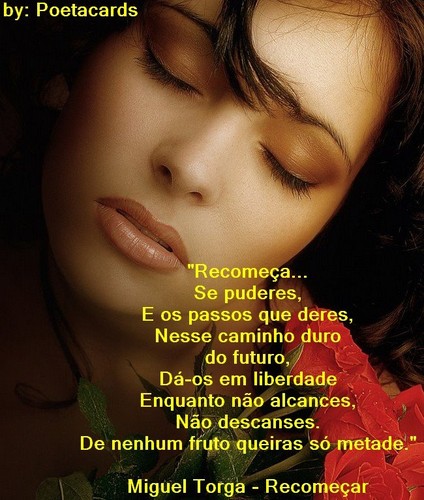 recomeça.jpg recomeça.jpg