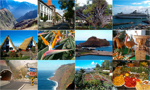 Madeira_colagem_das_fotos_12.jpg