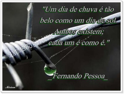 Um dia de Chuva